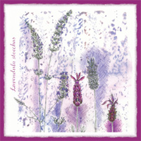 Lavender