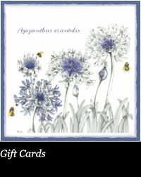 Cards